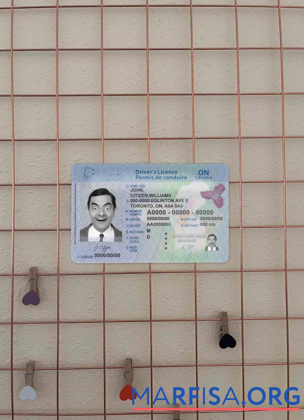 Blank Canada Ontario DL (2018 – present) photolook example